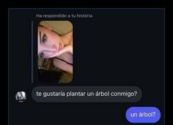 Enlace a Parentesco botánico