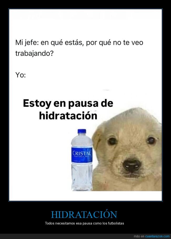trabajo,jefe,excusas,perro,relajaci&oacute;n