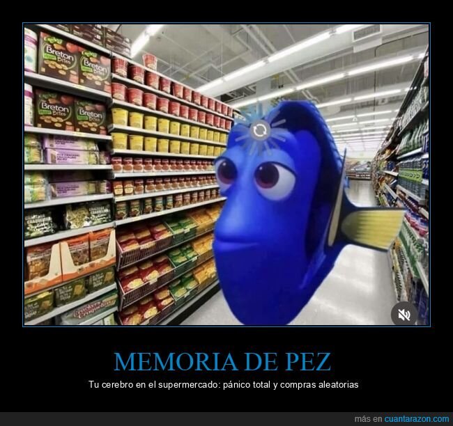 supermercado,despiste,memoria,compras,olvido