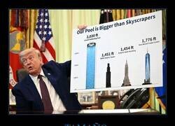 Enlace a Trump presumiendo de forma absurda sobre la piscina reflectante antes de convertirla en un pantano