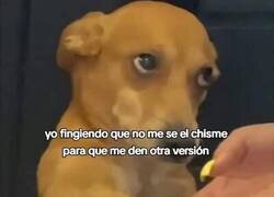 Enlace a Yo en modo 'no me entero'