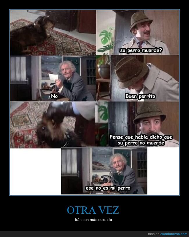 perro,mentira,traici&oacute;n,pel&iacute;culas,amistad
