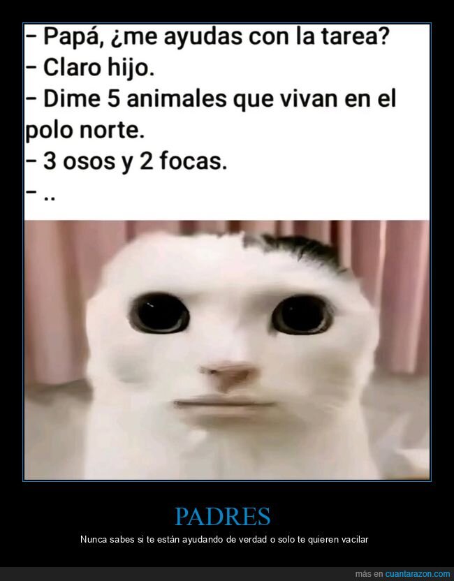 padre,tareas,geograf&iacute;a,fracaso,educaci&oacute;n