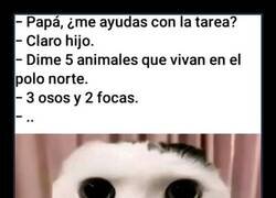 Enlace a La ignorancia bien explicada