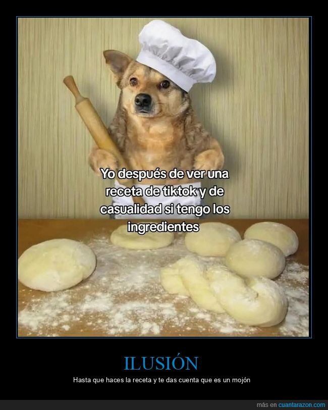 cocina,fracaso,recetas,realidad,perro