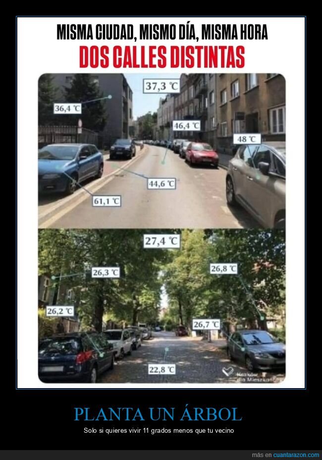 temperatura,ciudad,vegetaci&oacute;n,calor,diferencias
