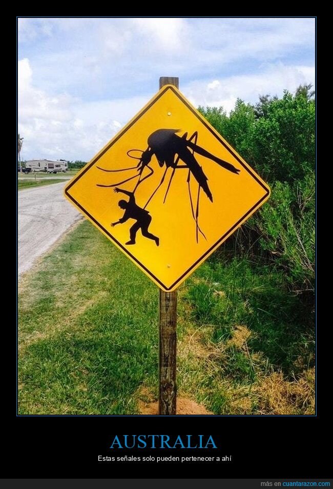mosquito,advertencia,naturaleza,peligro,carretera