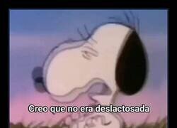 Enlace a Otra vez a sufrir