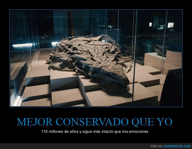f&oacute;sil,extinci&oacute;n,museo,Cret&aacute;cico,dinosaurio