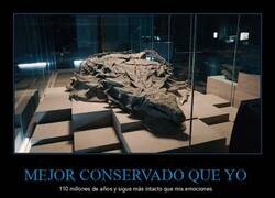 Enlace a Un fósil increíblemente bien conservado de Borealopelta markmitchelli, un anquilosaurio que vivió en América del Norte hace 110 millones de años