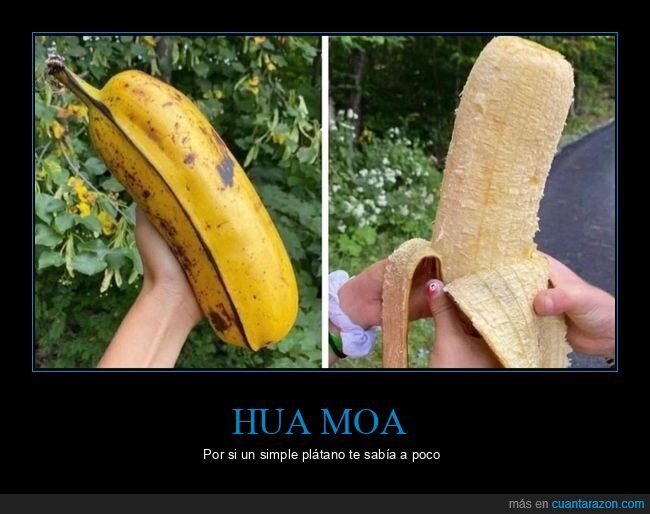 pl&aacute;tano,decepci&oacute;n,expectativa,transformaci&oacute;n,realidad