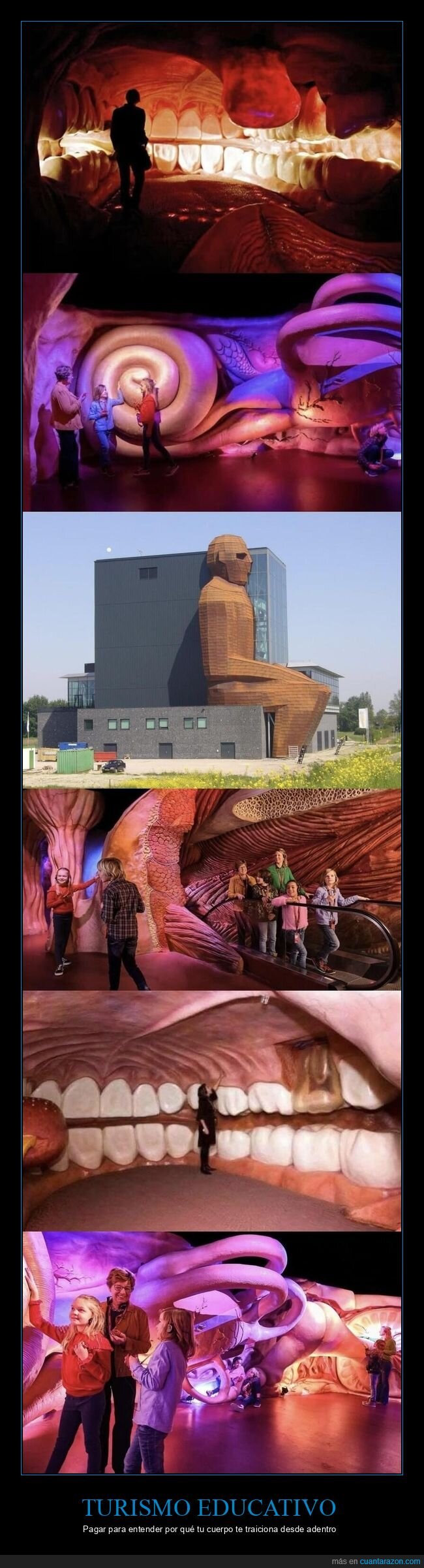 museo,anatom&iacute;a,Corpus,experiencia,educaci&oacute;n