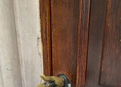 Enlace a No sé si quiere darte un portazo o saludar