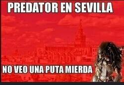 Enlace a Hasta los depredadores se arrepienten del calor que hace
