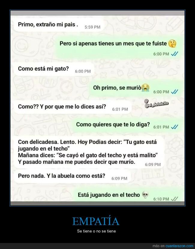 familia,gato,WhatsApp,drama,abuelos