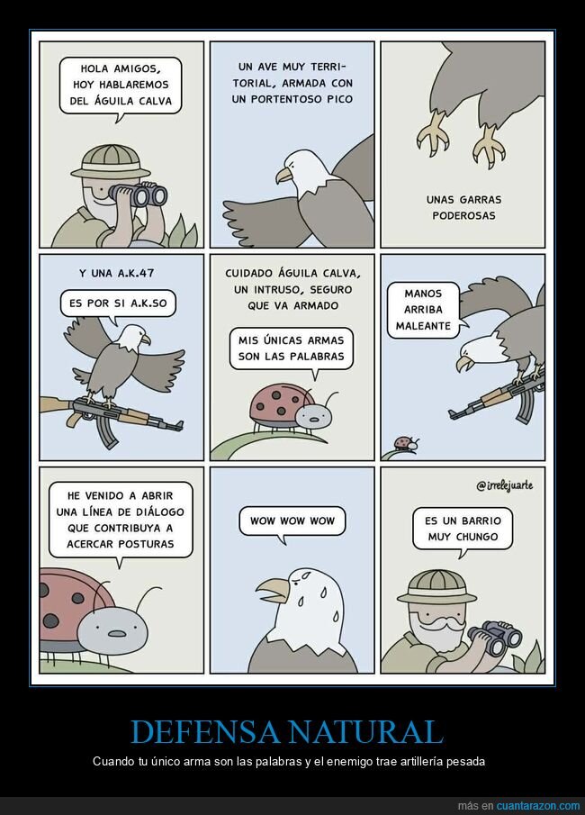 aguila,defensa,armas,naturaleza,absurdo