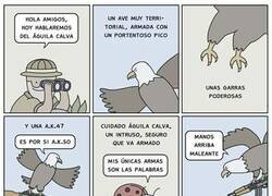 Enlace a Las palabras matan