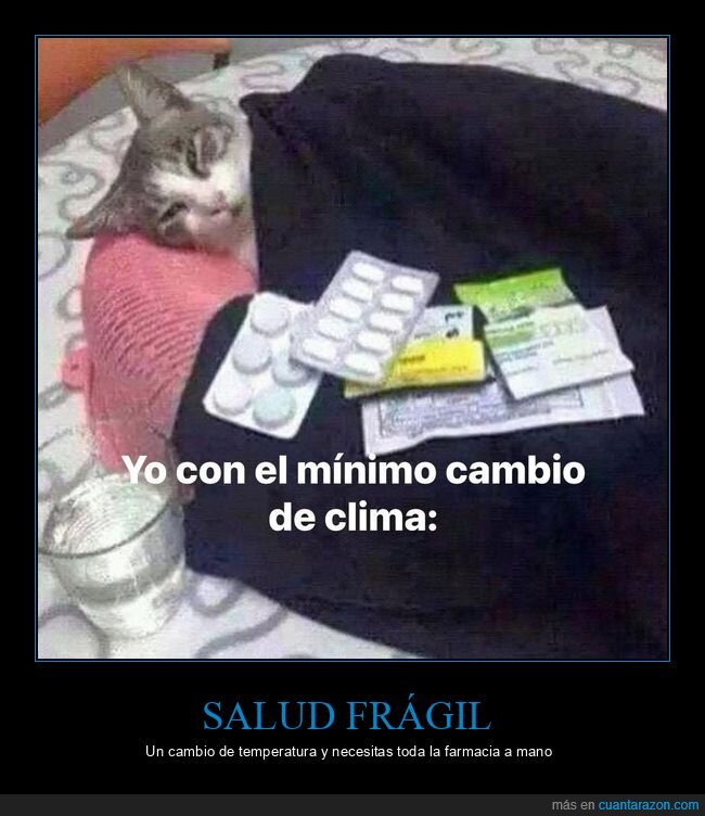 hipocondr&iacute;a,medicinas,cambio clim&aacute;tico,gato,preparaci&oacute;n