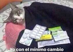 Enlace a Yo preparándome