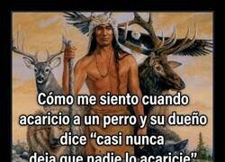 Enlace a Soy el espíritu animal favorito