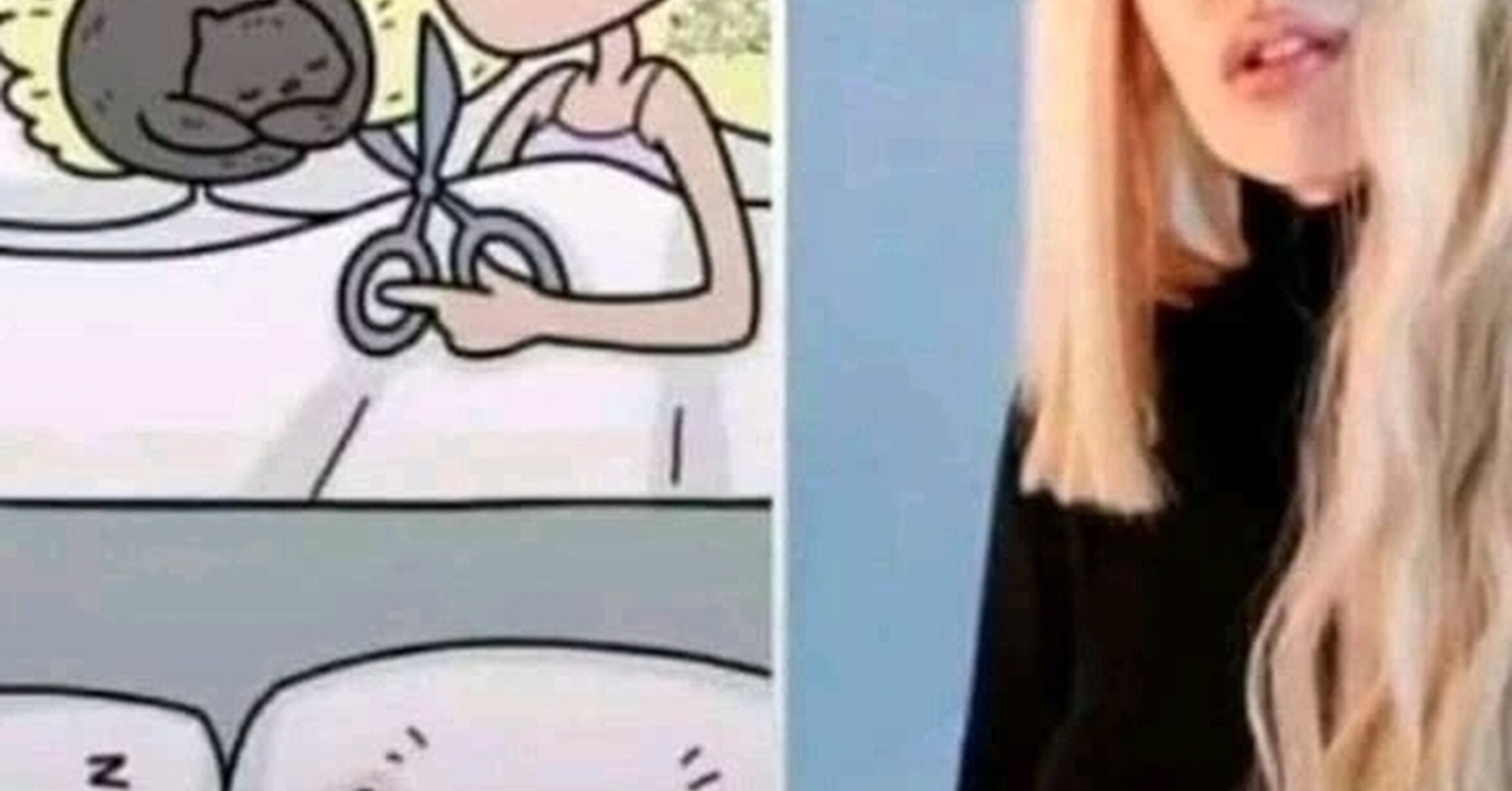 ¡Cuánta razón! / Todo por mi michi