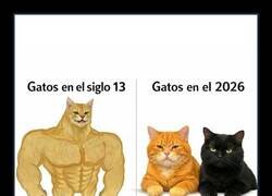 Enlace a La evolución los traicionó