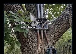 Enlace a No sabía que las plantas eléctricas eran así