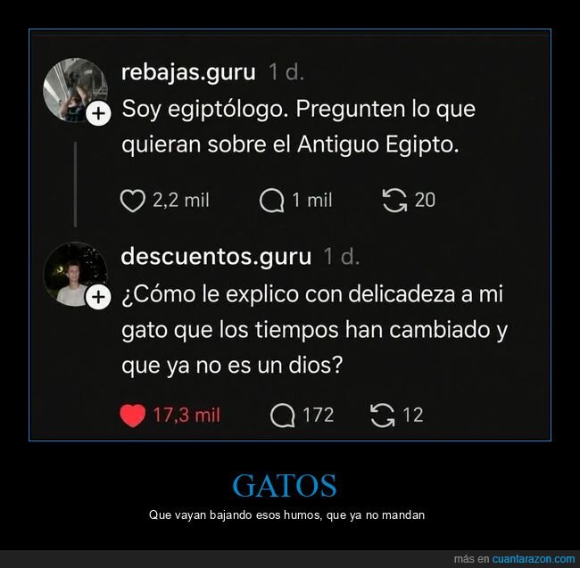 Egipto,gatos,ignorancia,conocimiento,absurdo