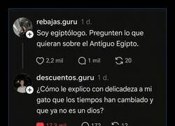Enlace a Los gatos no entienden nada