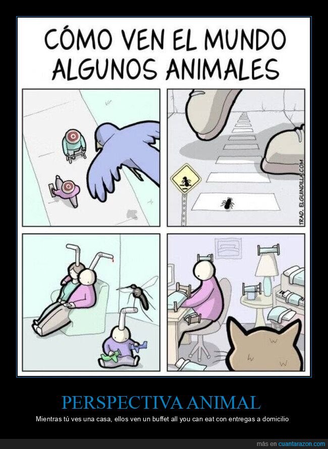 perspectiva,animales,visi&oacute;n,cotidiano,diferencias