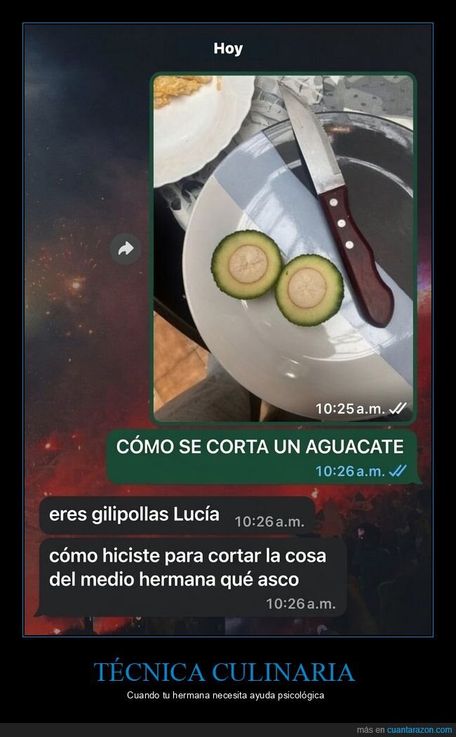 cocina,familia,desastre,palta,absurdo