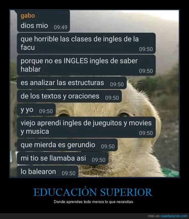 universidad,idiomas,educaci&oacute;n,ingl&eacute;s,estructuras