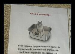 Enlace a Qué asco