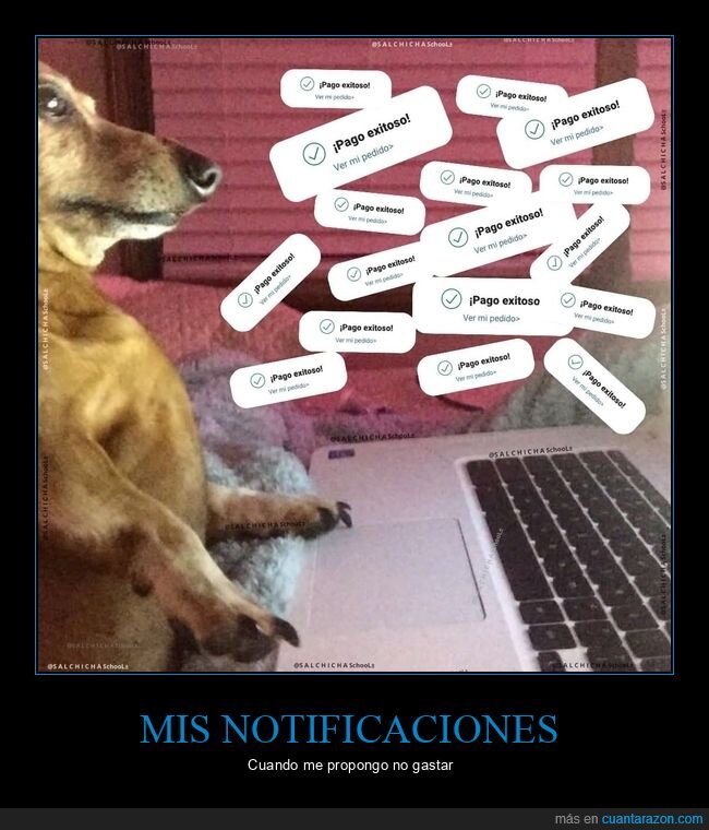 pobreza,dinero,internet,fracaso,quedarse