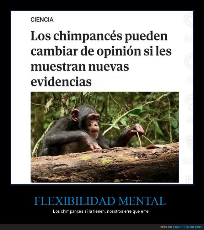 chimpanc&eacute;s,evoluci&oacute;n,ideolog&iacute;a,evidencia,pol&iacute;tica
