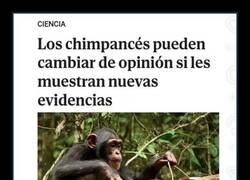 Enlace a Chimpancés 1~0 Comunistas