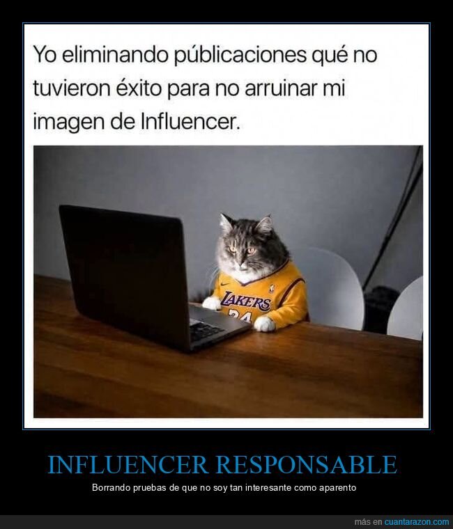 influencer,redes sociales,imagen,gato,fracaso