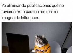 Enlace a Curando mi feed como si fuera importante