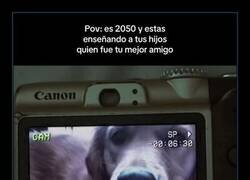 Enlace a El verdadero amigo del hombre
