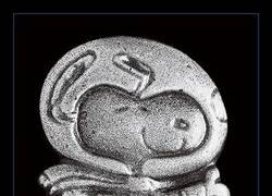 Enlace a Necesito la insignia de plata de Snoopy