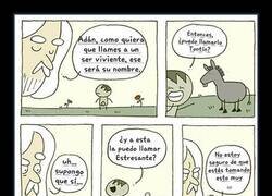 Enlace a Sabe que tiene mejor criterio