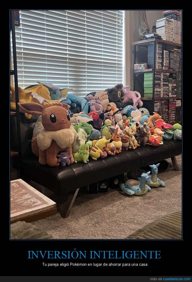 colecci&oacute;n,Pok&eacute;mon,peluches,obsesi&oacute;n,sof&aacute;