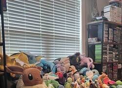 Enlace a La colección de peluches de Pokémon de mis novia