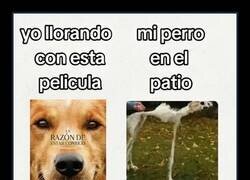 Enlace a Hazle más caso a lo que tienes en casa, anda