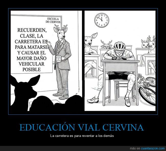 educaci&oacute;n,ciervo,carretera,absurdo,ciclista