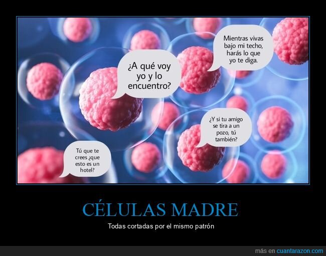 c&eacute;lulas,biolog&iacute;a,potencial,desarrollo,confusi&oacute;n