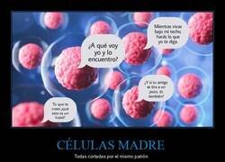 Enlace a Madres siendo madres
