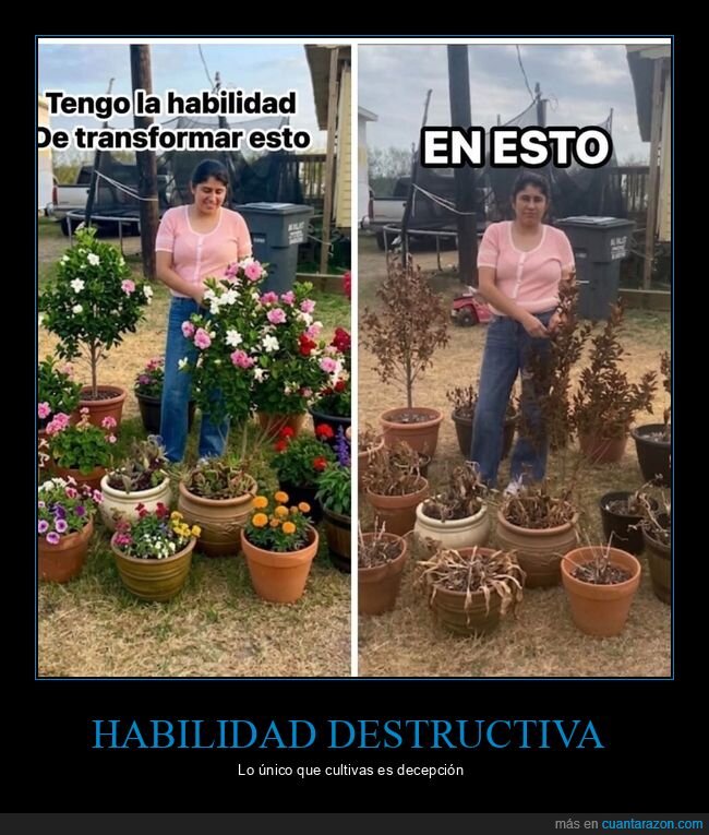 plantas,fracaso,jardiner&iacute;a,desastre,talento