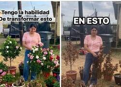 Enlace a Tengo el toque de Midas, pero al revés