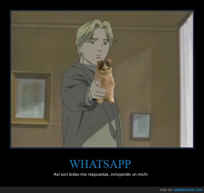 WhatsApp,Mensajes,Disponibilidad,Procrastinaci&oacute;n,Desconexi&oacute;n